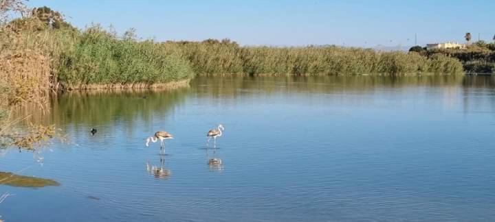 Vera Natura Apartamento Laura Bagian luar foto
