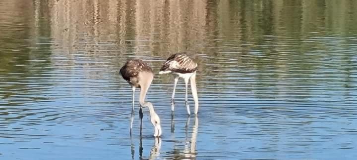 Vera Natura Apartamento Laura Bagian luar foto
